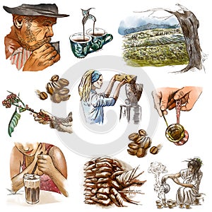 Coffee harvesting and processing. Agriculture. An hand drawn illustration