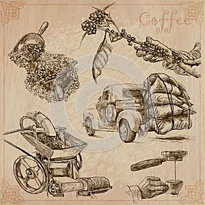 Coffee harvesting and processing. Agriculture. An hand drawn vector illustration