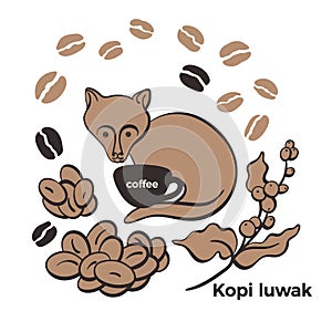 Coffee. Kopi luwak, civet. Set of bean