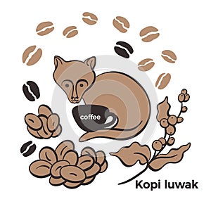 Coffee. Kopi luwak, civet. Set of bean photo