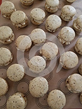 Coffee macarons ready to be assembled.