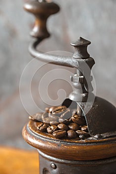 Coffee mill with coffee beans vertical