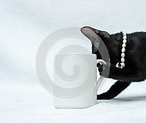 Coffee mug with a black kitten clawing and licking the handle of the cup on the white background