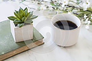Coffee mug and book with plants on table