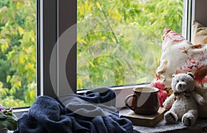 Coffee mug, book, Teddy bear, pillows and a plaid on the light wooden surface against window with rainy day view. Vintage style.