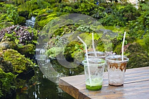 Coffee mugs on the table in the fern garden and trees