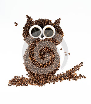 Coffee owl on white background