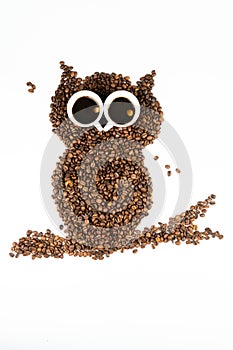 Coffee owl on white background