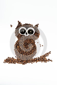 Coffee owl on white background
