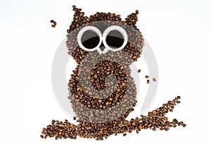 Coffee owl on white background