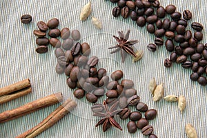 Coffee and peaberry scattered with spices