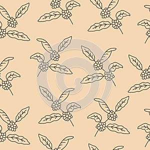 Coffee plant with leaf, berry, coffee bean. Seamless pattern with coffee tree.