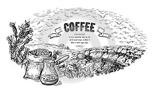 Coffee plantation landscape bag bush and coffeepot in graphic style hand-drawn vector