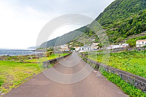 coffee production area in FajÃ£ dos Vimes- SÃ£o Jorge Island-Azores-Portugal. photo