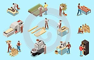 Coffee Production Industry Isometric Set