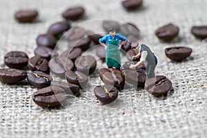 Coffee professional or expertise concept, miniature people figurine worker standing with roasted coffee beans on gunny