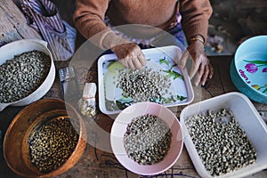 Coffee Raw coffee beans Dried coffee People are sorting coffee beans photo