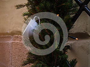 Coffee roasters shop in downtown with winter decor. Green natural fir tree branch with white cup lights on cafe facade