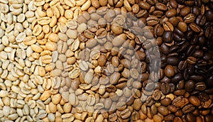 Coffee roasting from light to dark. Texture background of roasted beans pattern. Coffee beans in roast gradient. Macro of roasted