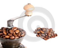 Coffee seed with grinder