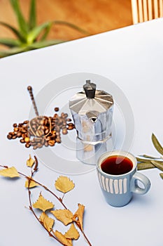 Coffee still life with dry tree leaves and ingredients, a small coffee pot and beans with a spoon