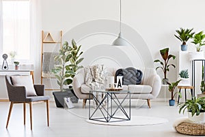 Coffee table in the middle of stylish living room interior with white sofa, urban jungle and grey chair
