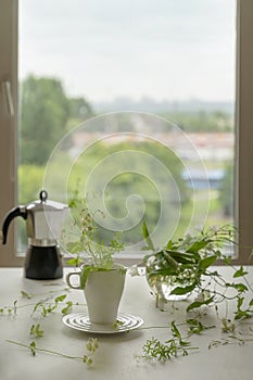 Coffee and tea time, summer morning by window. White cup with fresh wild meadow flowers closeup on the table. Concept romantic