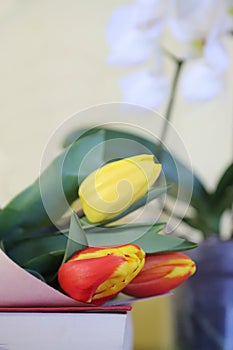 Coffee time concept with colorful tulips and orchid on red books