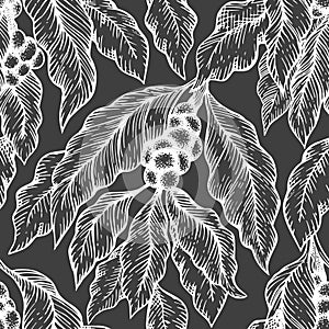 Coffee tree branch seamless vector pattern. Vintage coffee background. Hand drawn engraved style illustration on chalk board