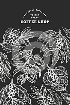 Coffee tree branch vector illustration. Vintage coffee background. Hand drawn engraved style illustration on chalk board