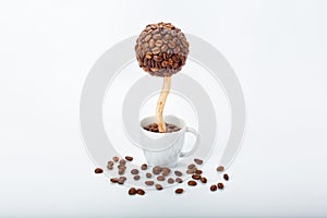 Coffee tree in a cup