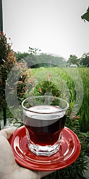 coffee unites with green nature photo