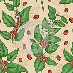 Coffee vector seamless pattern. Seamless floral art print with coffee beans, leaves, for fabric, wallpaper, gift wrap