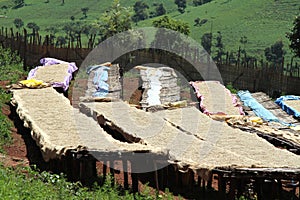 Coffee washing and dry station