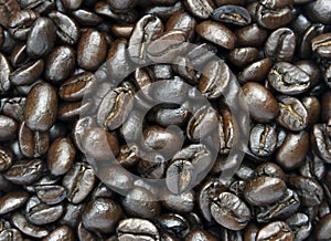 Coffeebean
