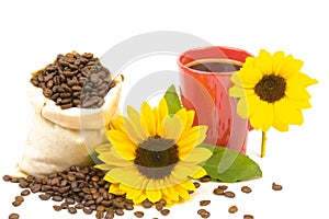 Coffeebeans cup sunflower