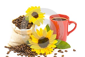 Coffeebeans cup sunflower 2