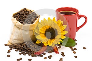Coffeebeans cup sunflowers 4