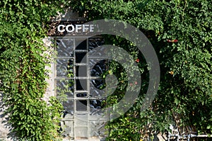 A coffeeshop is heavily overgrown with shrubbery.