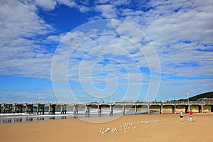 Coffs Harbour Jetty and beach scenery