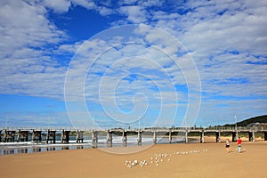 Coffs Harbour Jetty and beach scenery photo