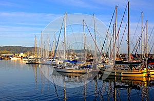 Coffs Harbour Marina, NSW Australia