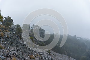 Cofre de Perote in a foggy day photo