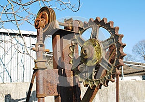 Cog on Antique Agricultural Machine