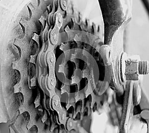 Cog and Chain