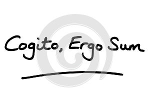 Cogito Ergo Sum