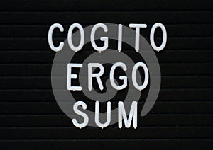 Cogito Ergo Sum on a noticeboard