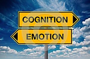 Cognition versus Emotion, Concept of Choice photo