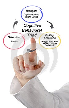 Cognitive Behavioral triad