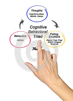 Cognitive Behavioral triad